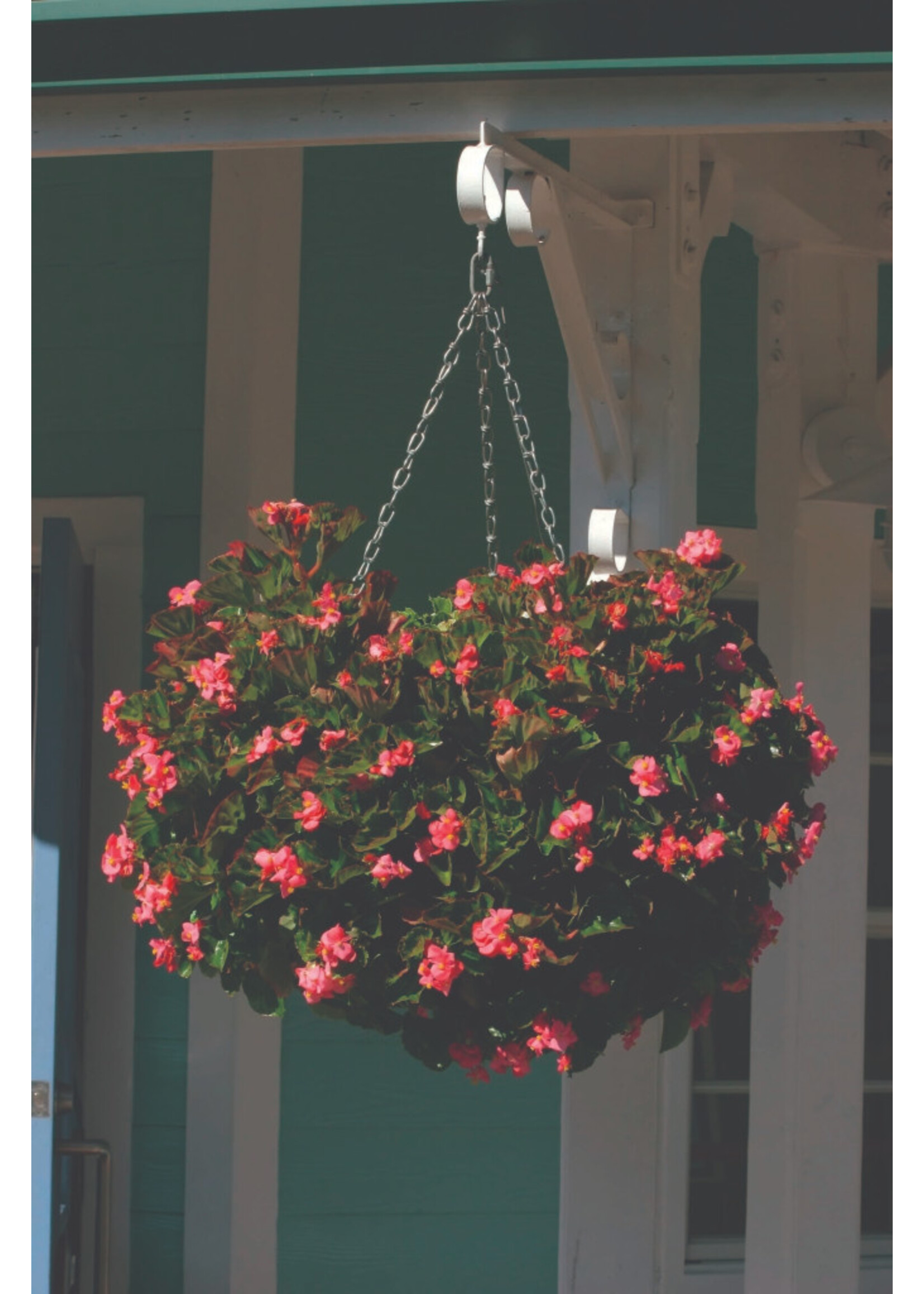 Ambassador Ambassador Swivel Hooks Pack 2