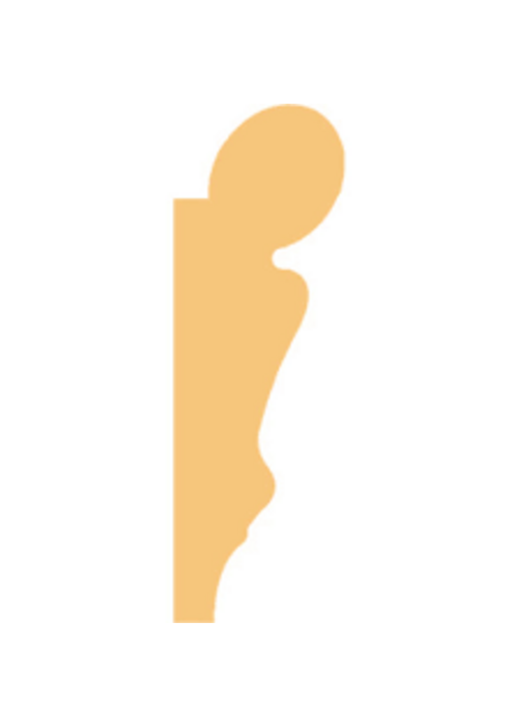 Picture Rail Pine (W)42mm (T)15mm (L)2400mm