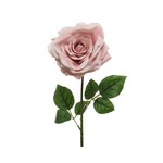 Kaemingk Christmas 20 Rose Stem Blush Pink 15 x 53cm