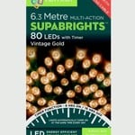 Premier 20 Vintage Gold 80 LEDs Lights Indoor/Outdoor