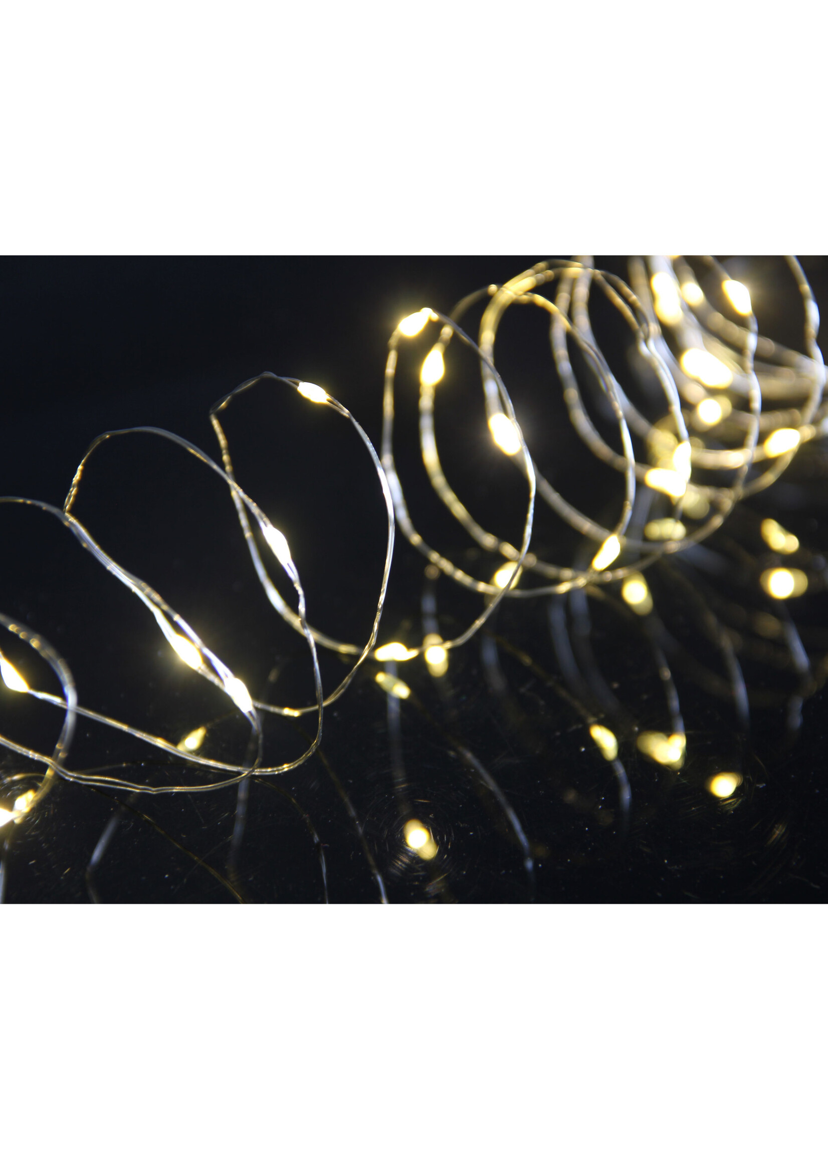 Snowtime Micro Lights