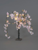 Snowtime Cherry Blossom Tree Pale Pink