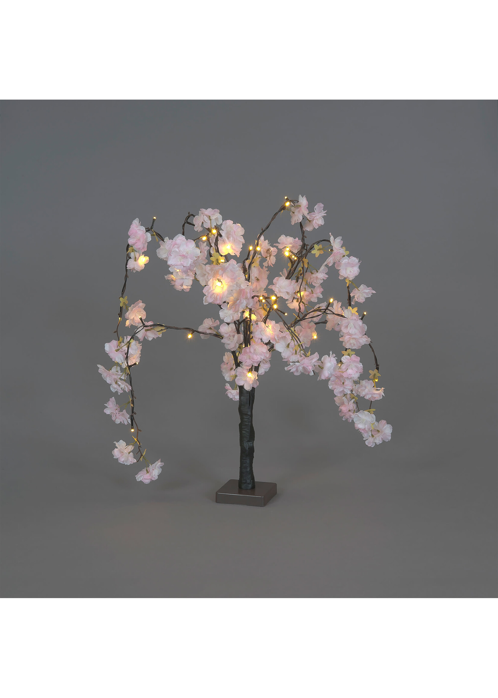 Snowtime Cherry Blossom Tree Pale Pink