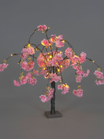 Snowtime Cherry Blossom Tree Dark Pink