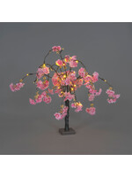 Snowtime Cherry Blossom Tree Dark Pink