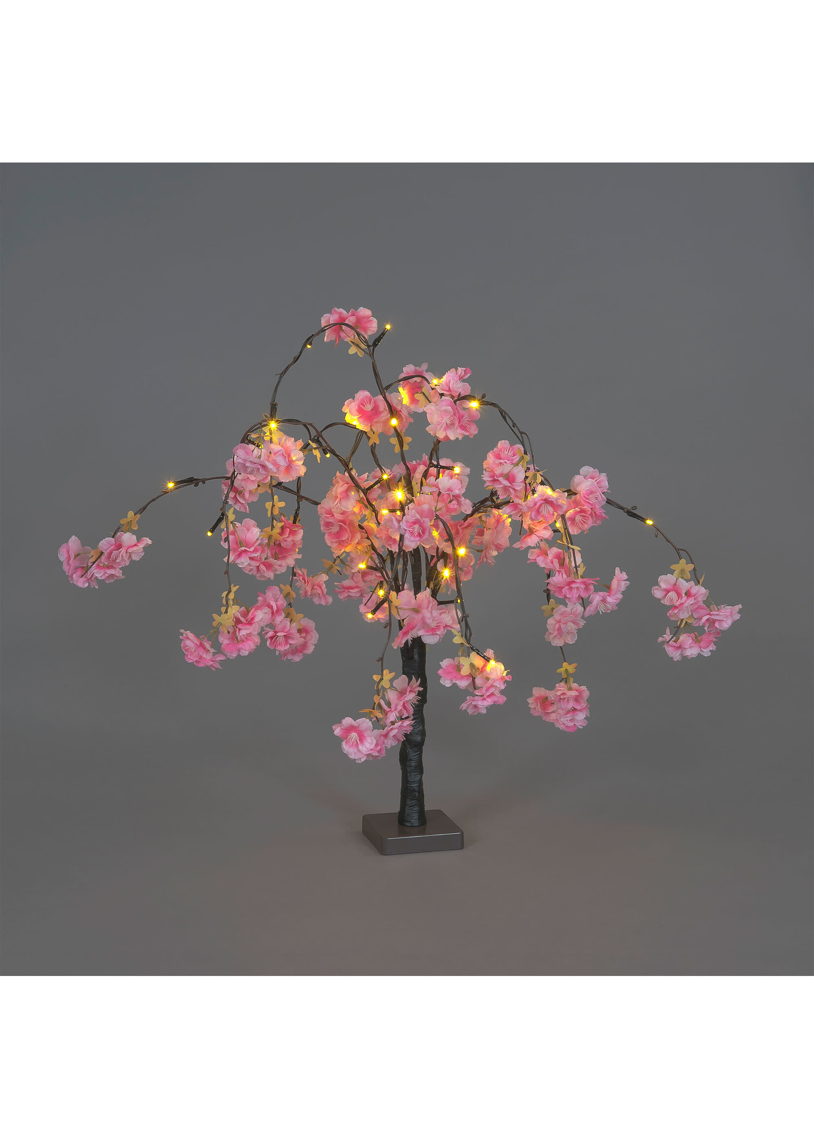 Snowtime Cherry Blossom Tree Dark Pink