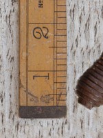 Escutcheon Beehive Teak & Brass 2.25" / 57mm