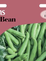 Unwins Broad Bean - De Monica