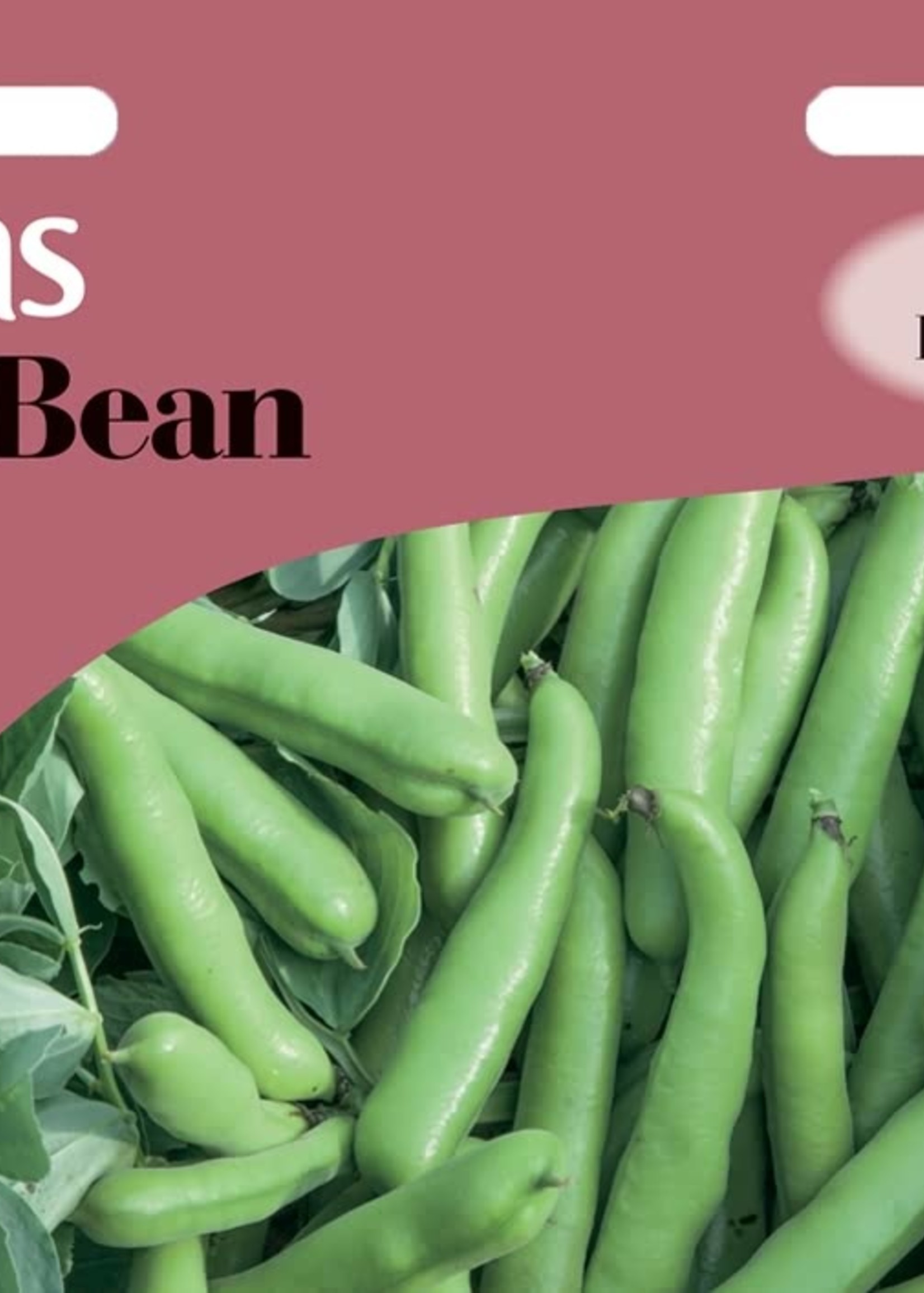 Unwins Broad Bean - De Monica