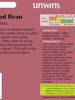 Unwins Broad Bean - De Monica