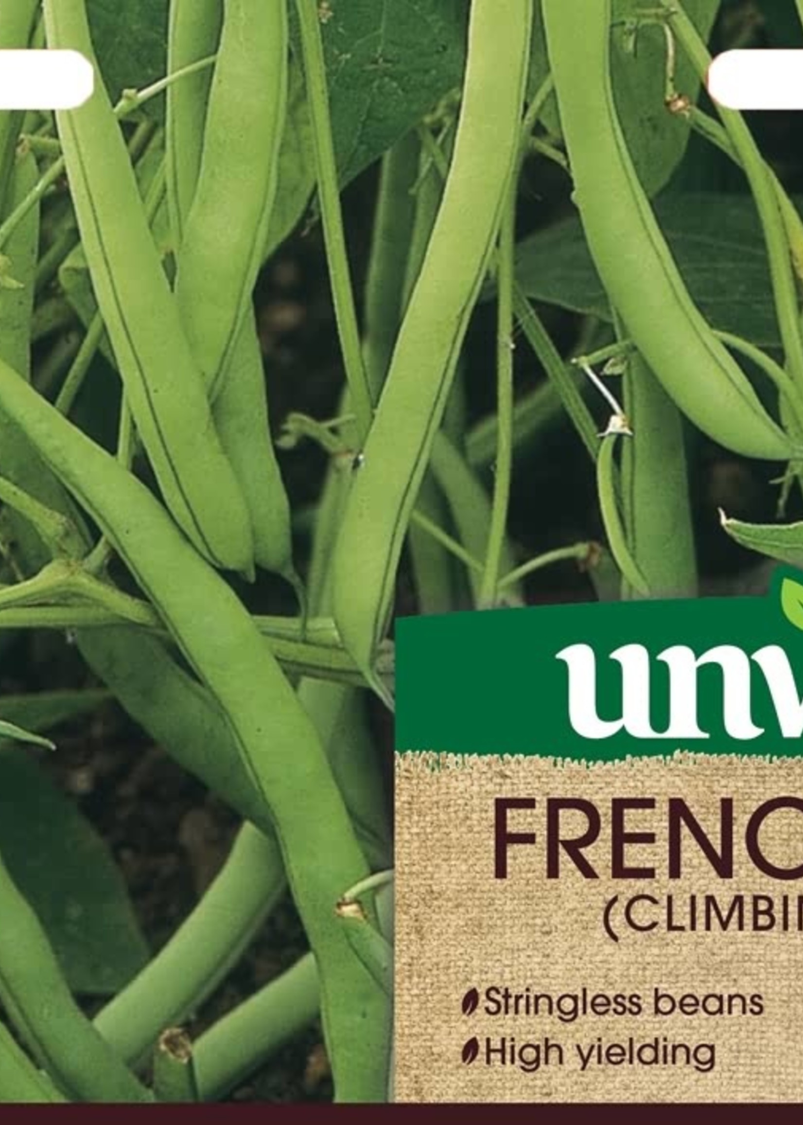 Unwins French Bean -  (Climbing) Cobra (Organic)