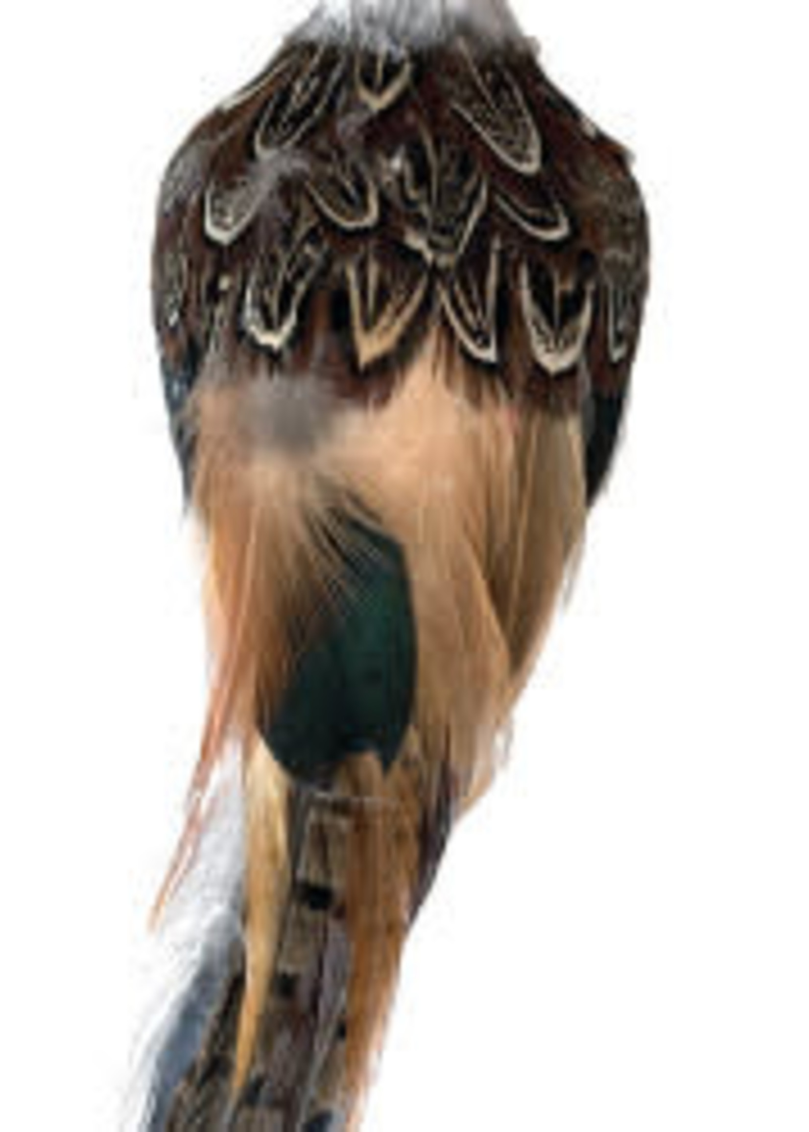 Kaemingk Pheasant Clip - Artificial with real feathers