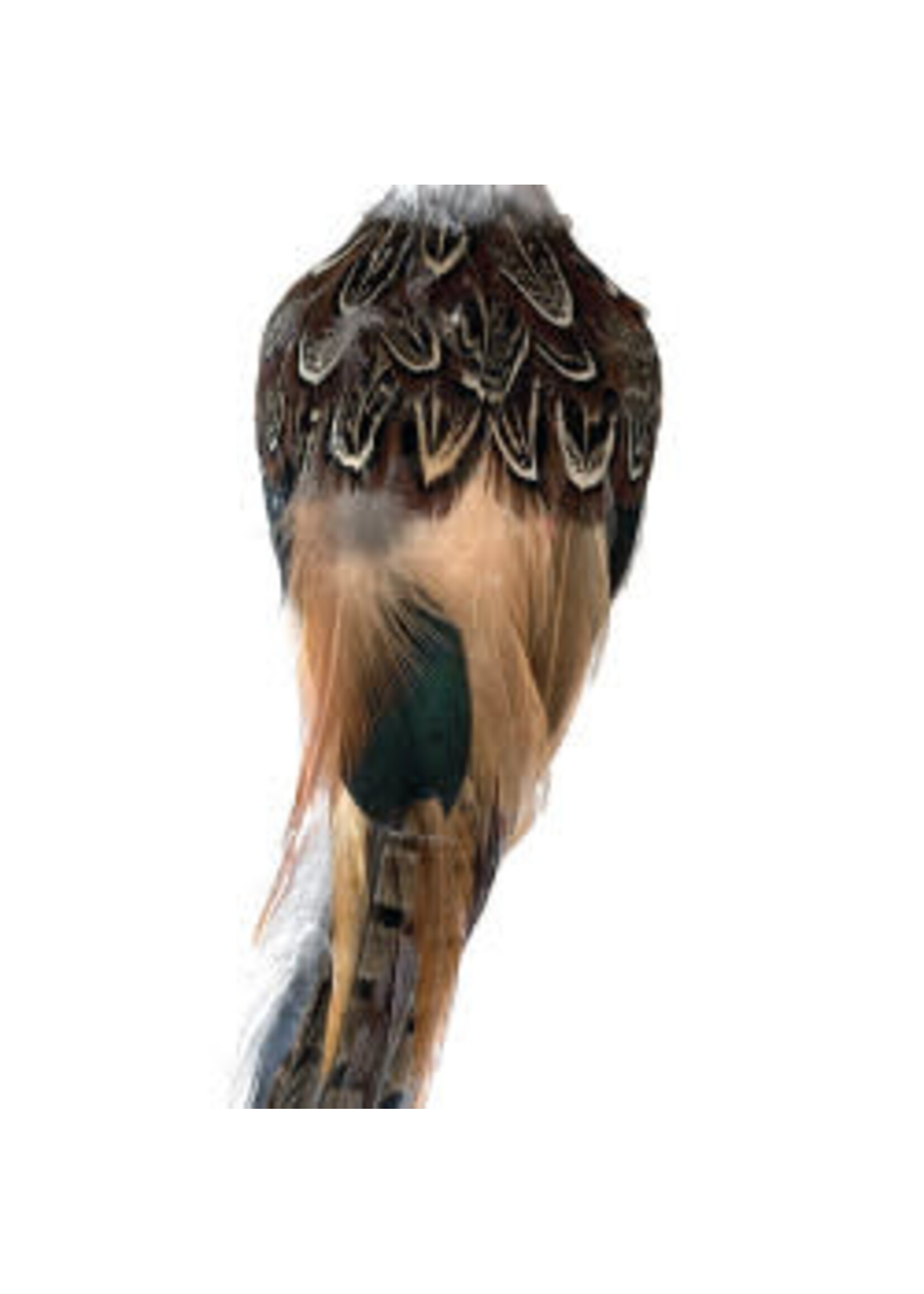 Kaemingk Pheasant Clip - Artificial with real feathers