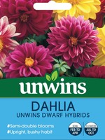 Unwins Dahlia - Unwins Dwarf Hybrids