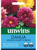 Unwins Dahlia - Unwins Dwarf Hybrids