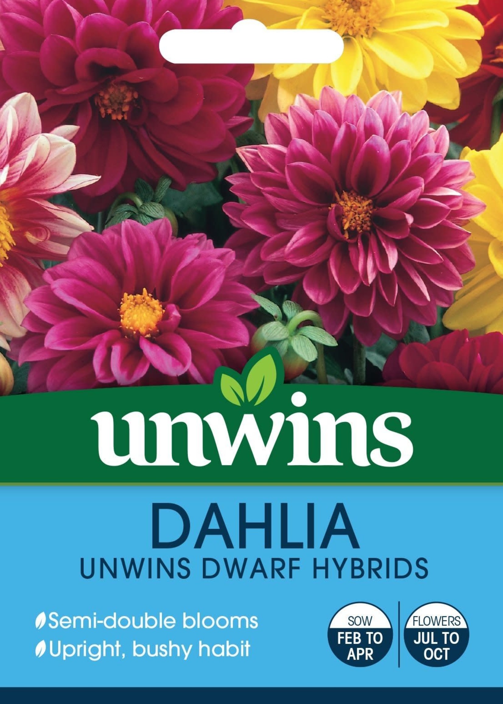 Unwins Dahlia - Unwins Dwarf Hybrids