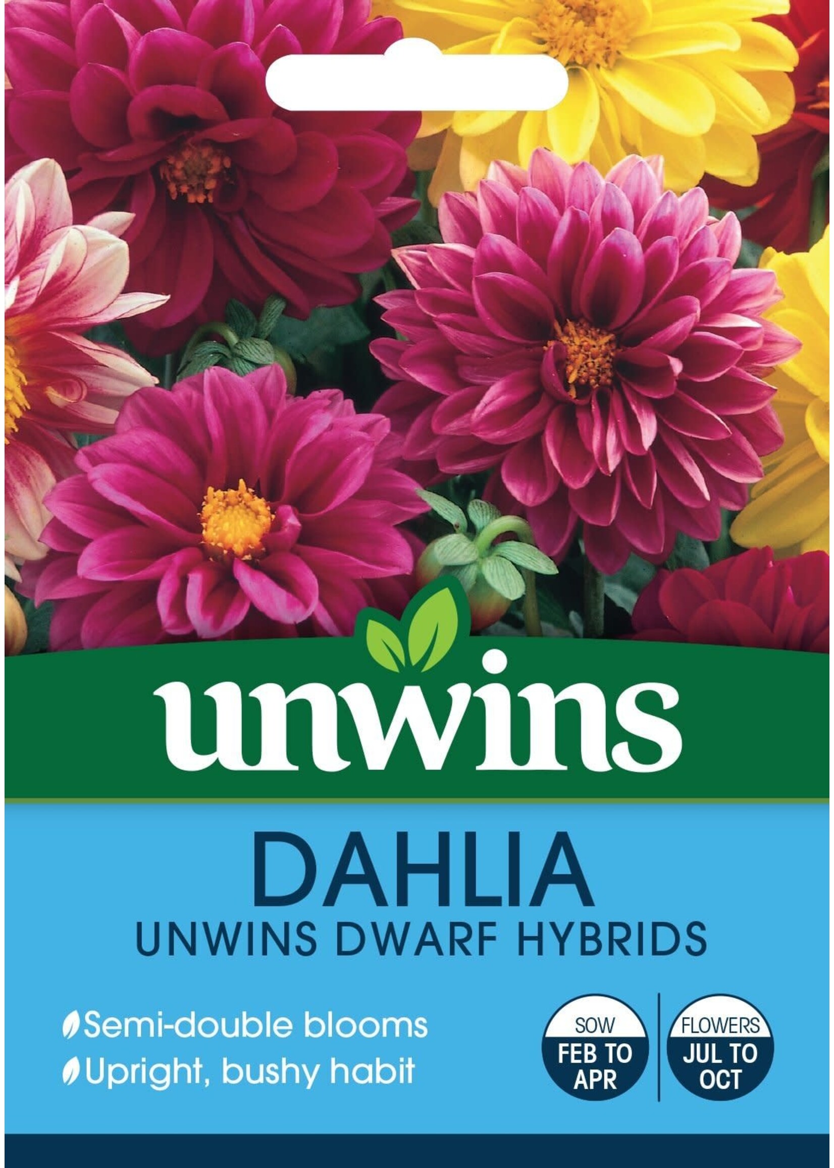 Unwins Dahlia - Unwins Dwarf Hybrids