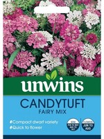 Unwins Candytuft - Fairy Mix