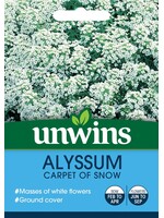 Unwins Alyssum - Carpet of Snow