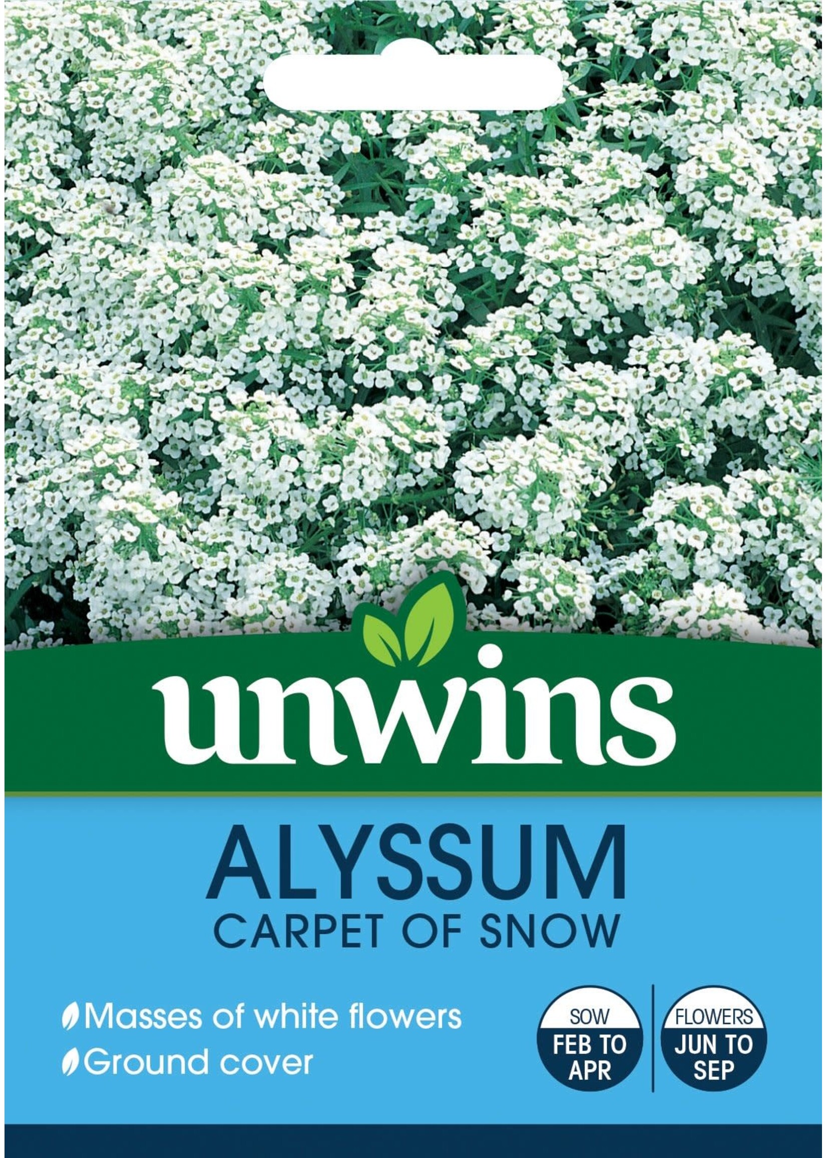 Unwins Alyssum - Carpet of Snow