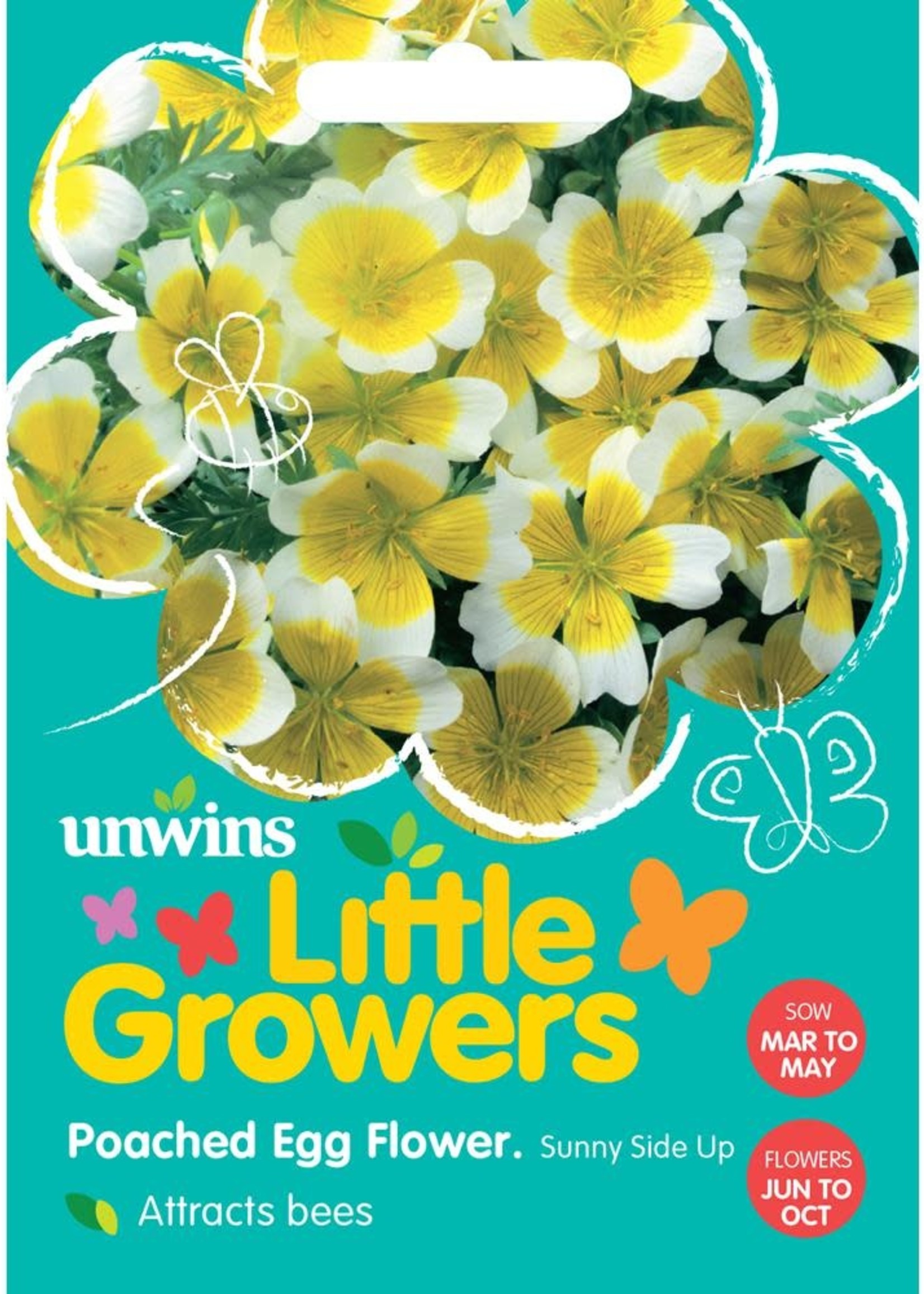 Unwins Little Growers - Poached Egg Flower