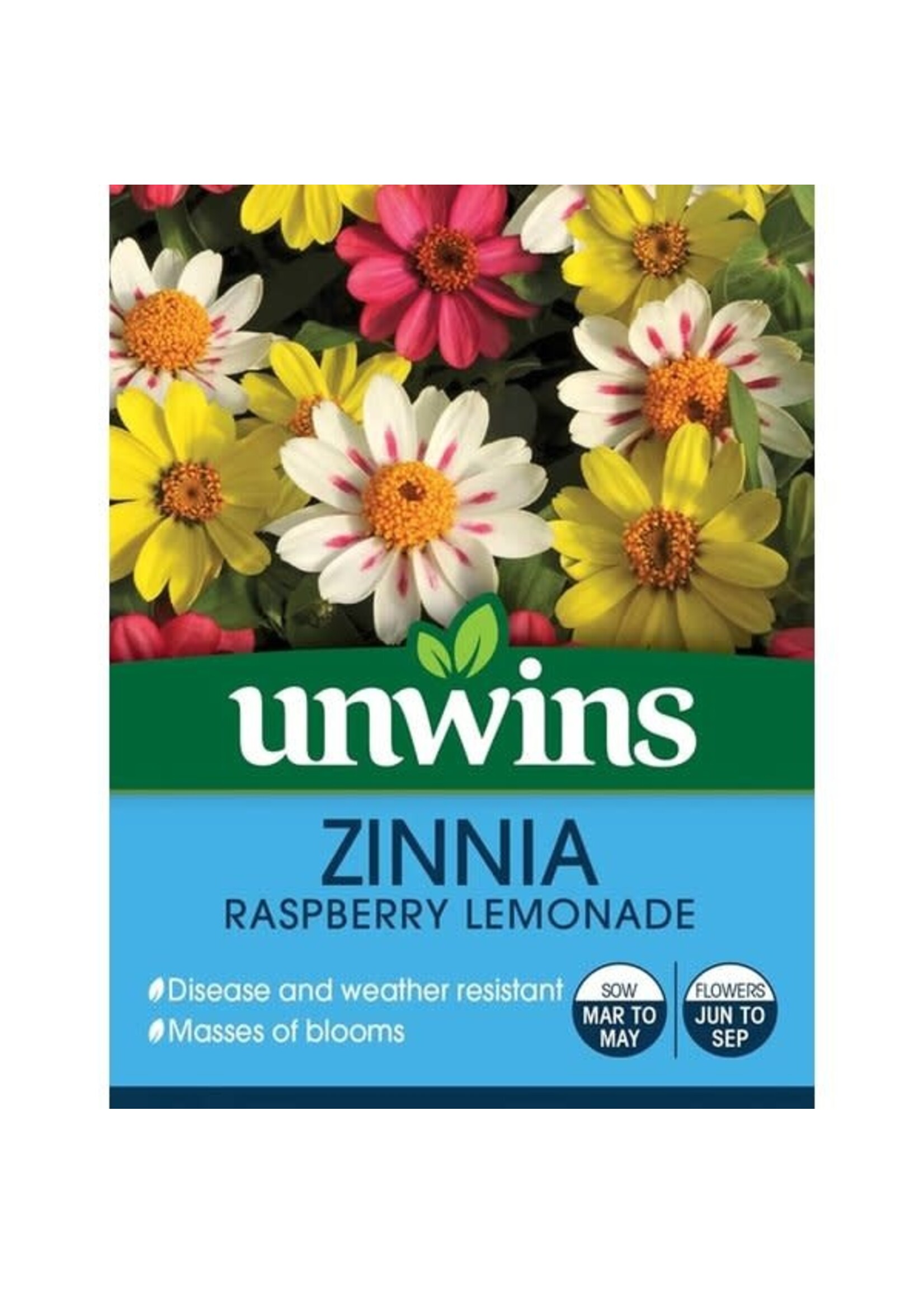 Unwins Zinnia - Raspberry Lemonade