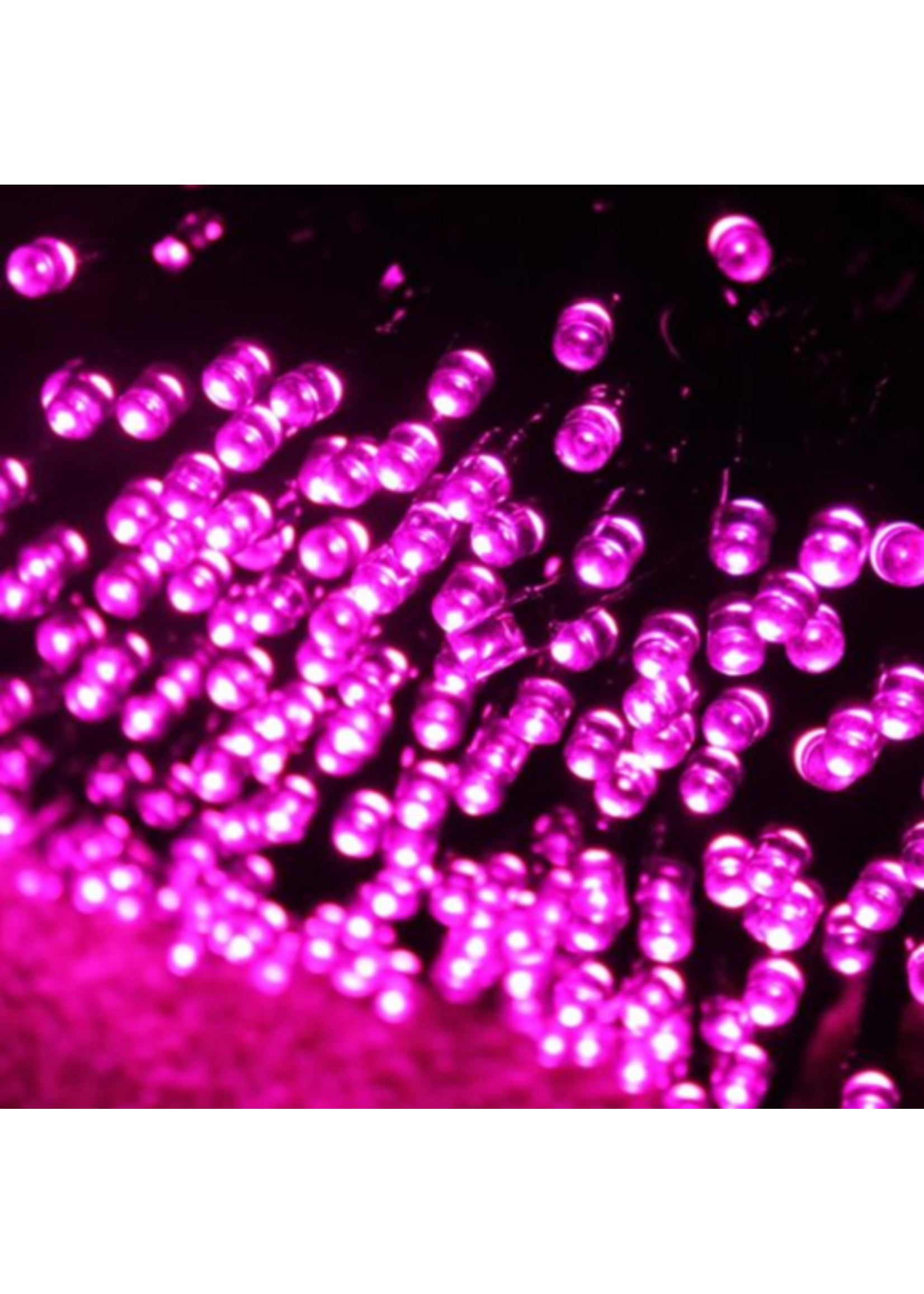 Premier Pink 200 LED Lights Multi action