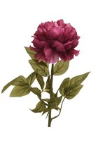 Kaemingk Pink Peony Flower on Stem
