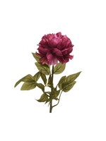 Kaemingk Pink Peony Flower on Stem