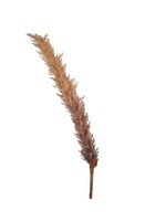 Kaemingk Pampas Grass Faux 110cm