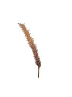 Kaemingk Pampas Grass Faux 110cm