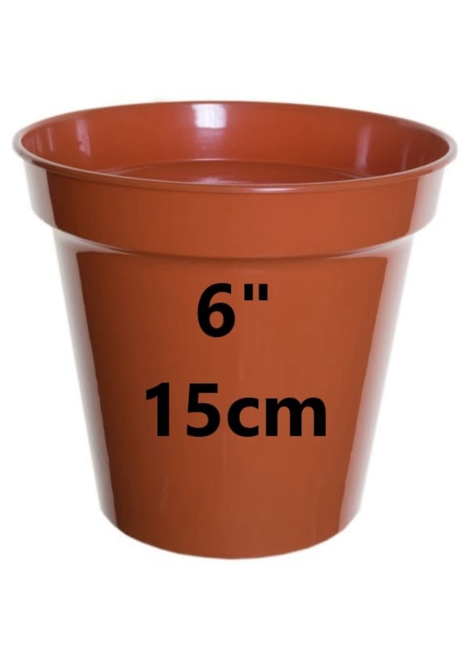 WhiteFurze Plastic plant pot - (approx size)