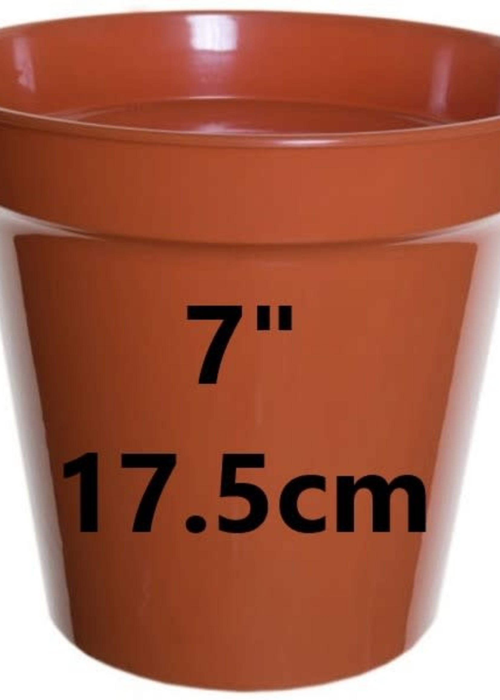 WhiteFurze Plastic plant pot - (approx size)
