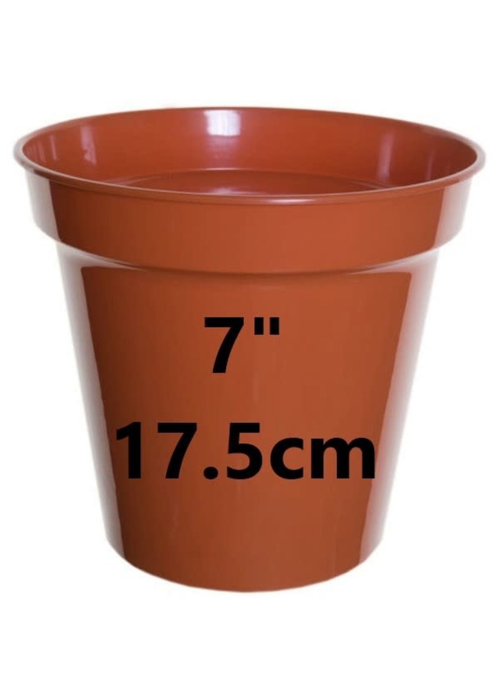WhiteFurze Plastic plant pot - (approx size)