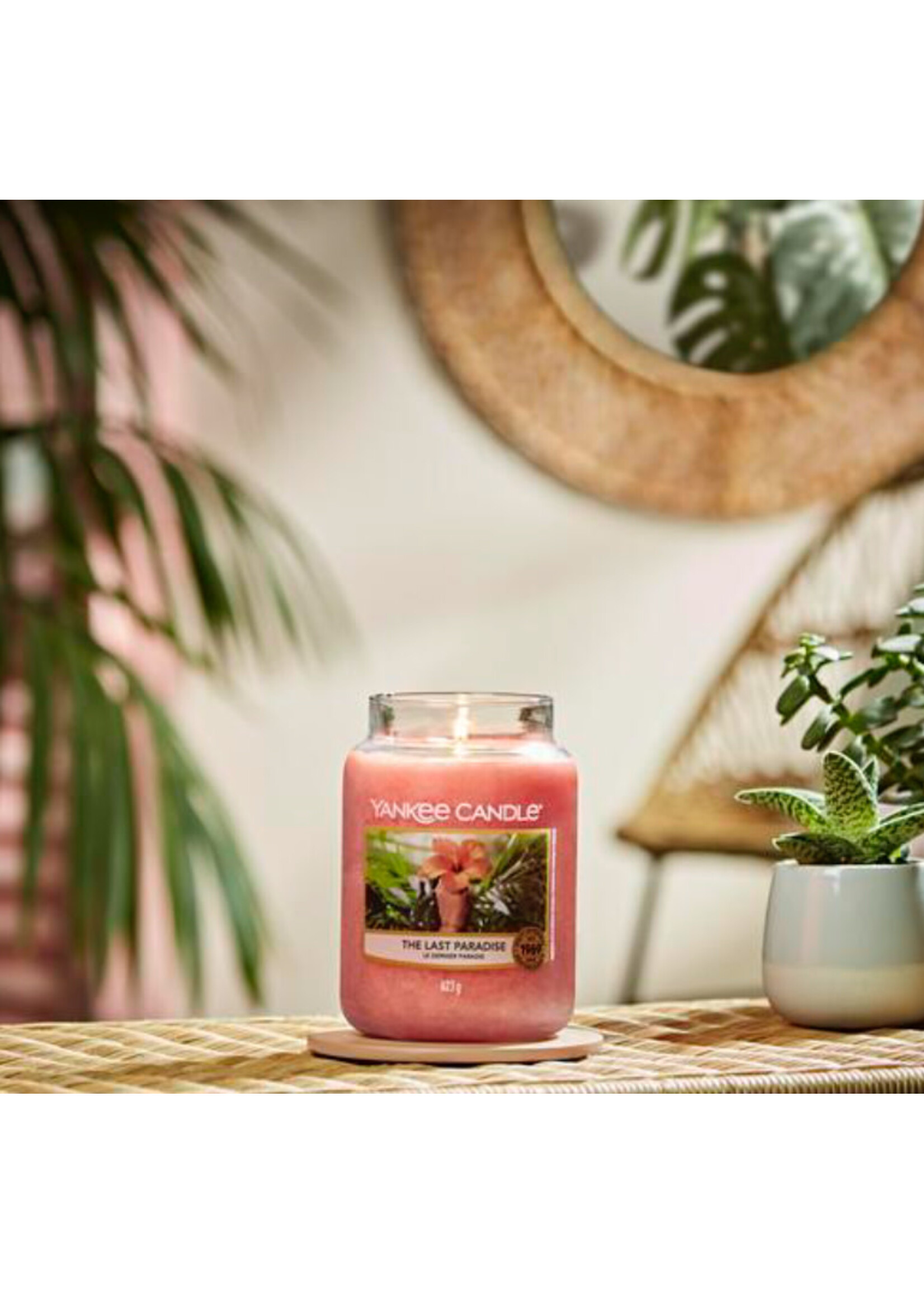 Yankee Yankee The Last Paradise Candle Large Jar