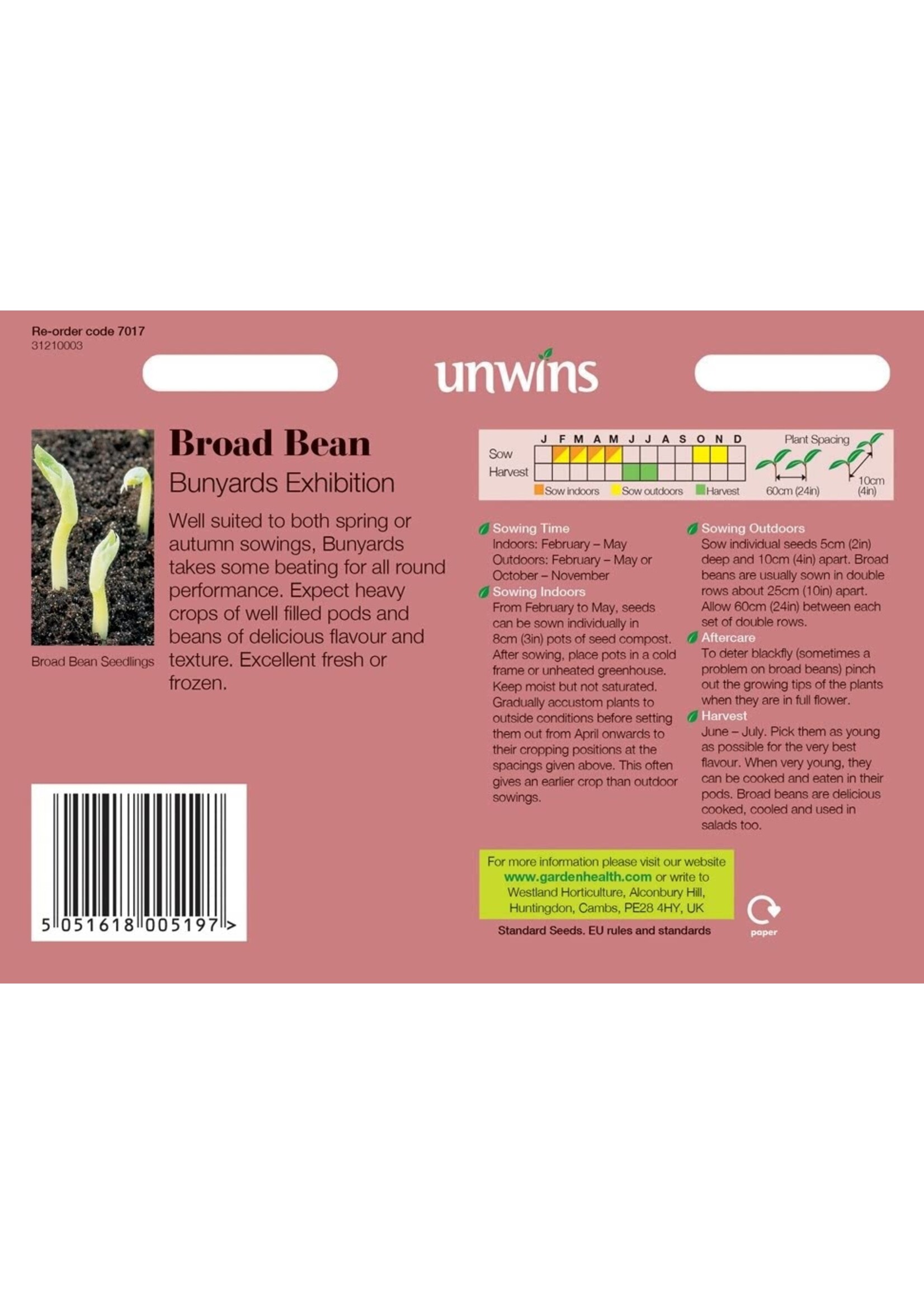 Unwins Broad Bean - Bunyards Exhibition