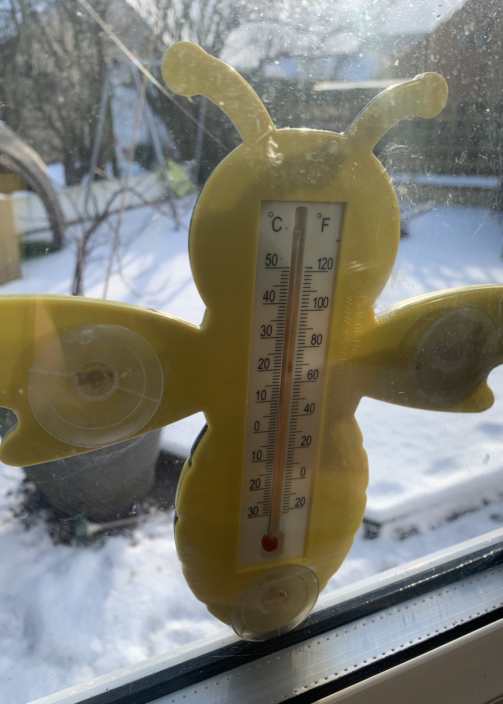 Bee shaped Thermometer