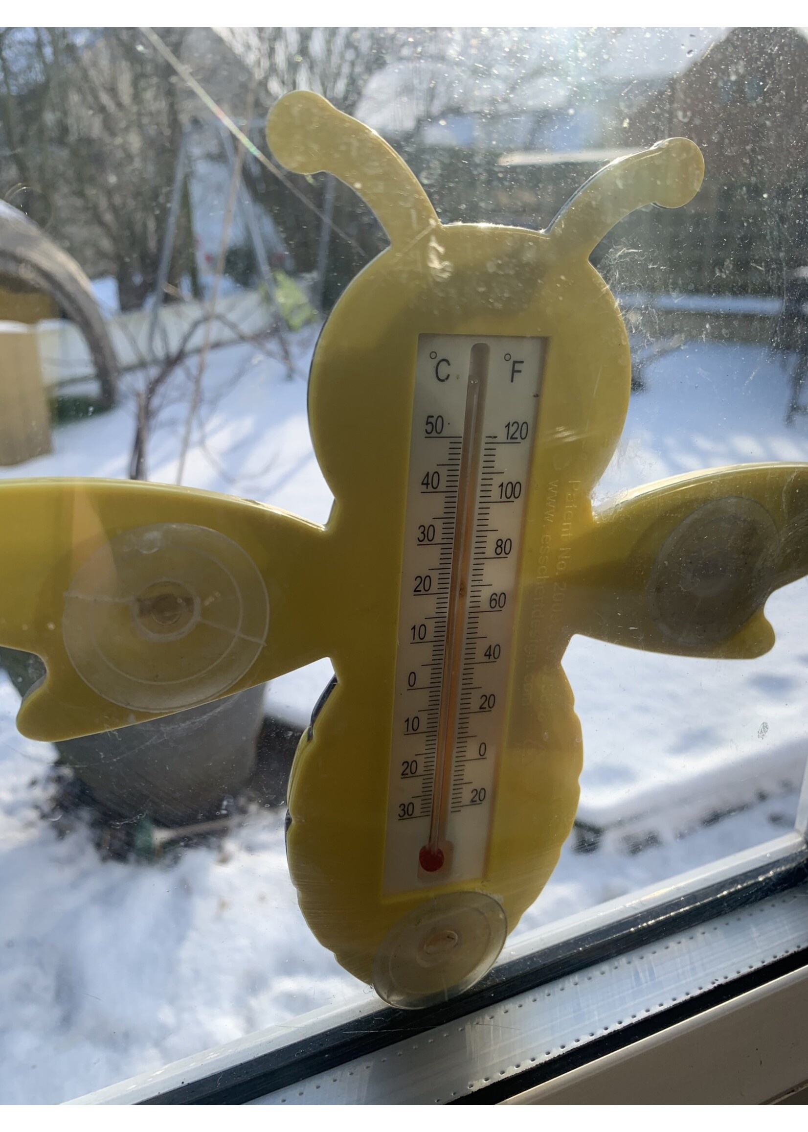 Bee shaped Thermometer