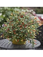 Unwins Pepper Chilli Basket of Fire F1