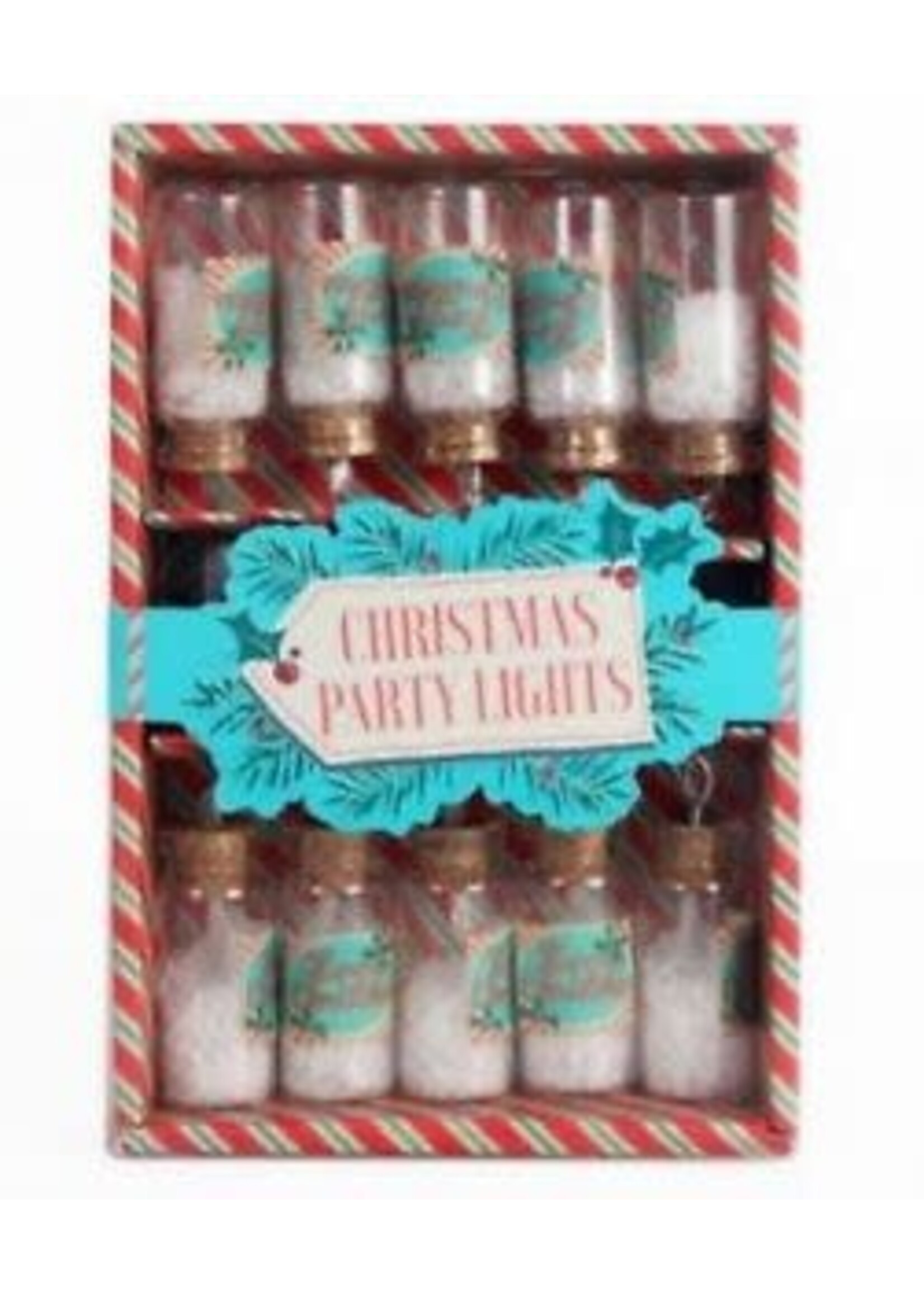 Mini Jar Lights set of 10 LED Christmas Party Lights on string
