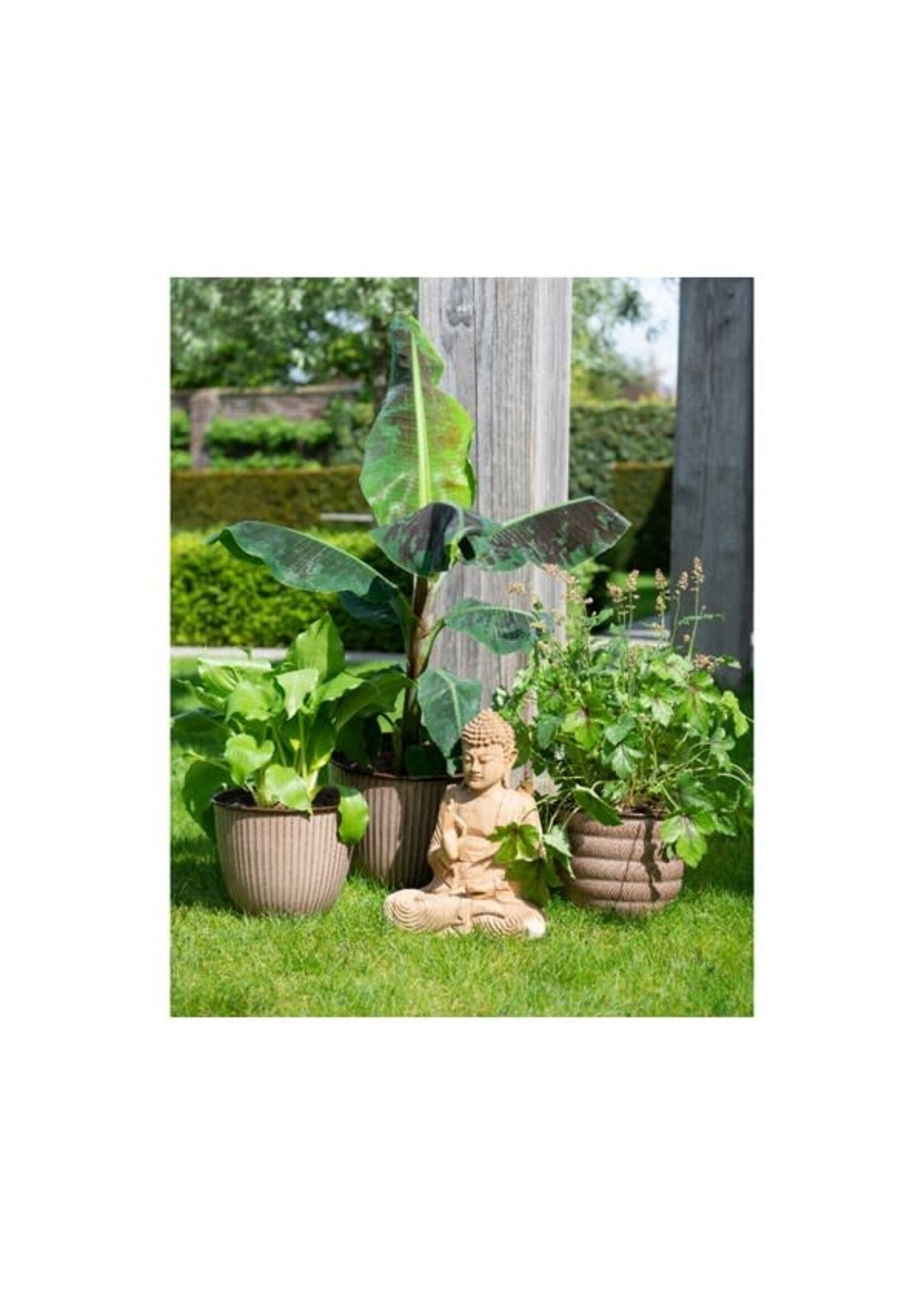 Decoris Brown Planter