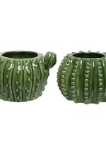 Decoris Cactus Planters in a choice of 2 designs (Price is for One)