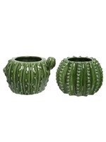 Decoris Cactus Planters in a choice of 2 designs (Price is for One)