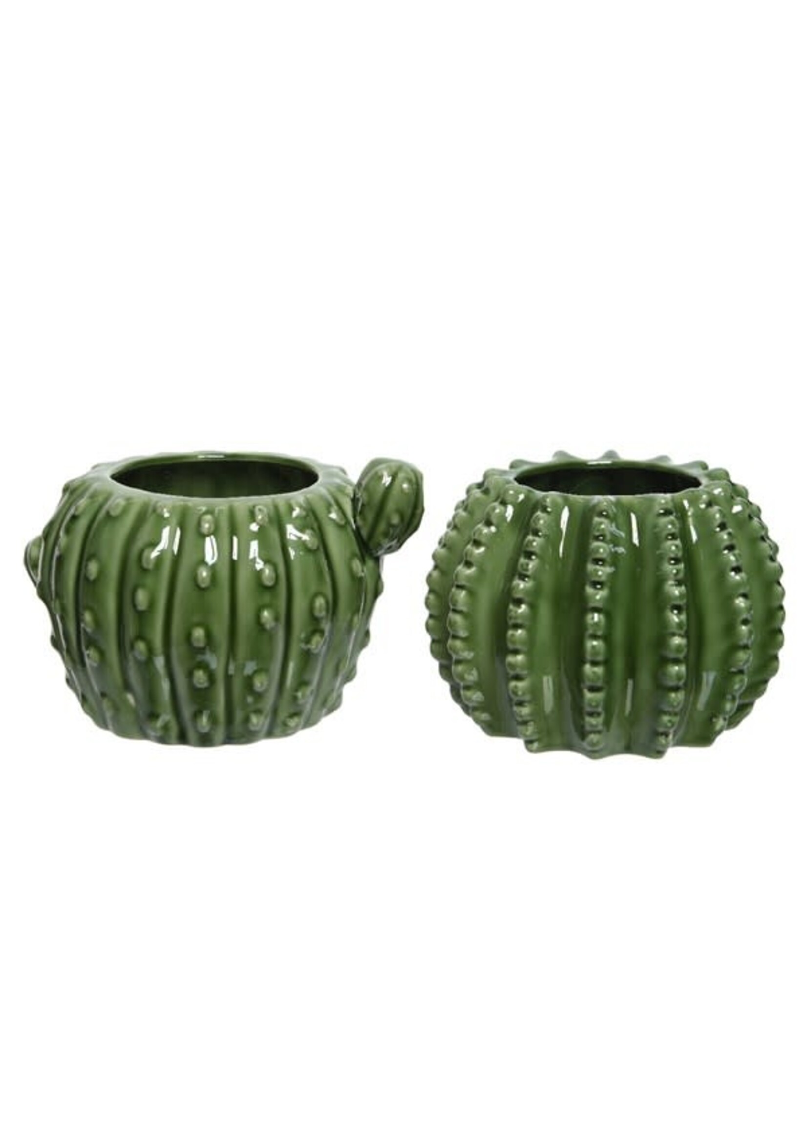 Decoris Cactus Planters in a choice of 2 designs (Price is for One)