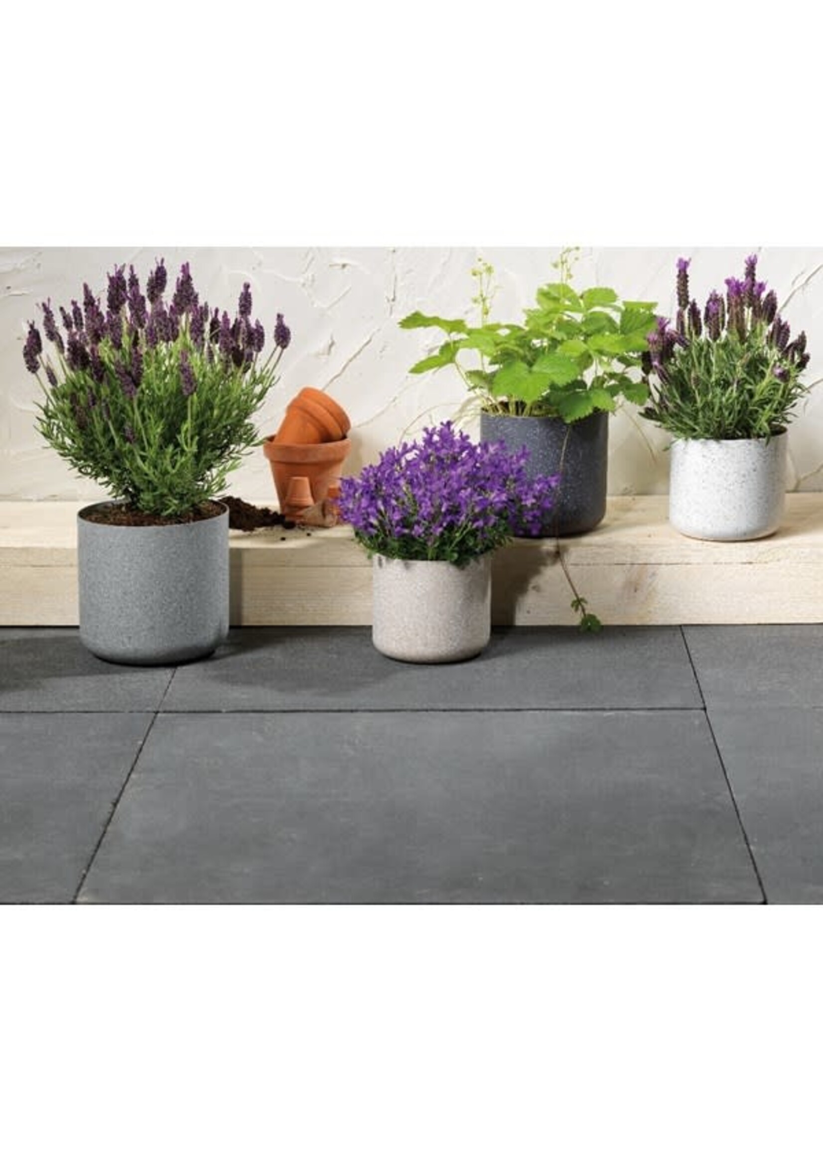 Decoris Set of 3 Planter Plastic Round (4 Assorted Colours - Price is for One Set)