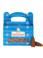 Satya Buddha Blessing Backflow Cones