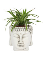 buddha head planter