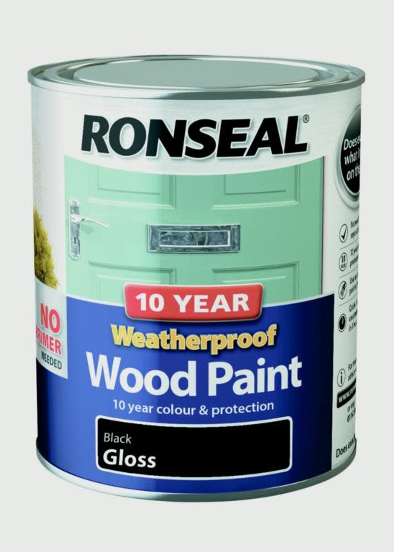 Ronseal  Ronseal 10 YearWeatherproof Wood paint