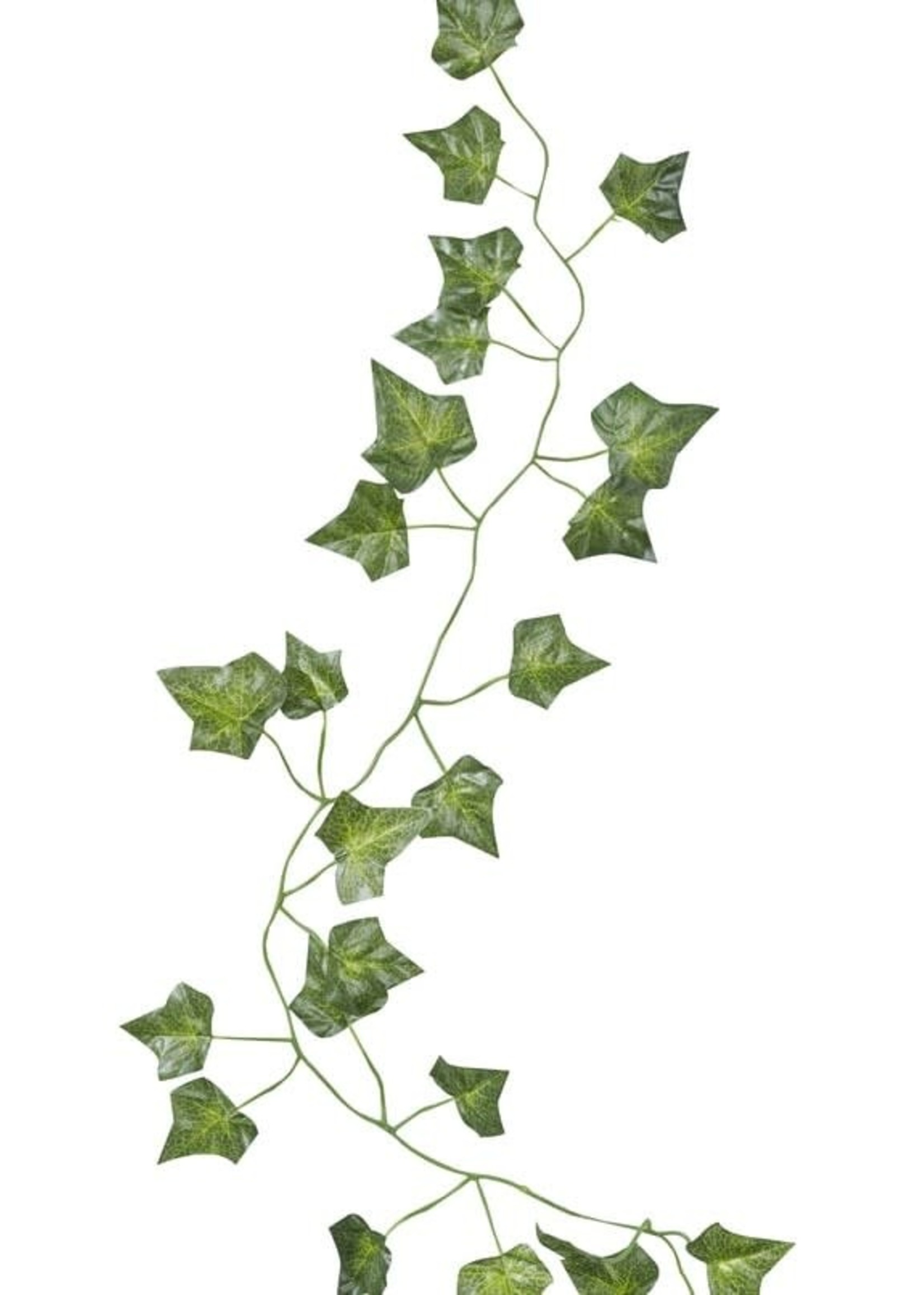 Decorative Ivy vines (5 x 2M Lengths) - Clock\'s Home and Garden