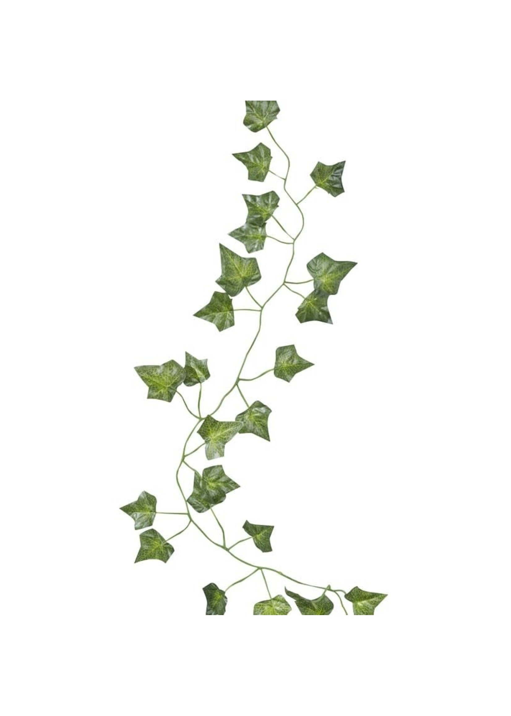Ginger Ray Decorative Ivy vines (5 x 2M Lengths)